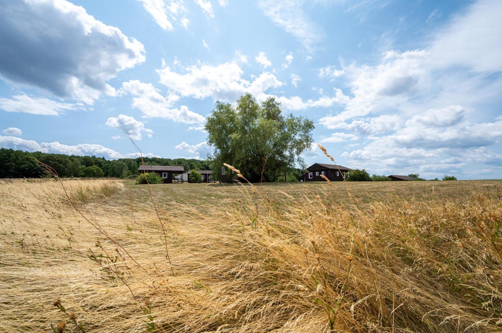 Camping Les Vosges Du Nord Oberbronn 外观 照片